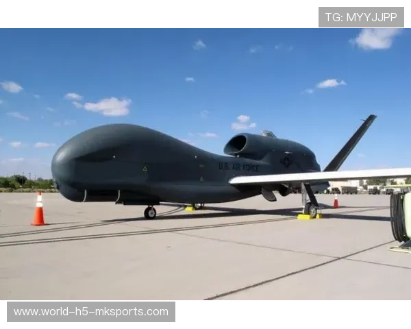 高薪金色侦察机成球队包袱,出场时间成奢望,金色侦查机维桑 高薪金色侦察机成球队包袱,出场时间成奢望,金色侦查机维桑