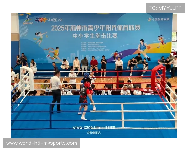 世界拳击锦标赛赛后赛事合规审查报告公开，世界拳击格斗锦标赛游戏